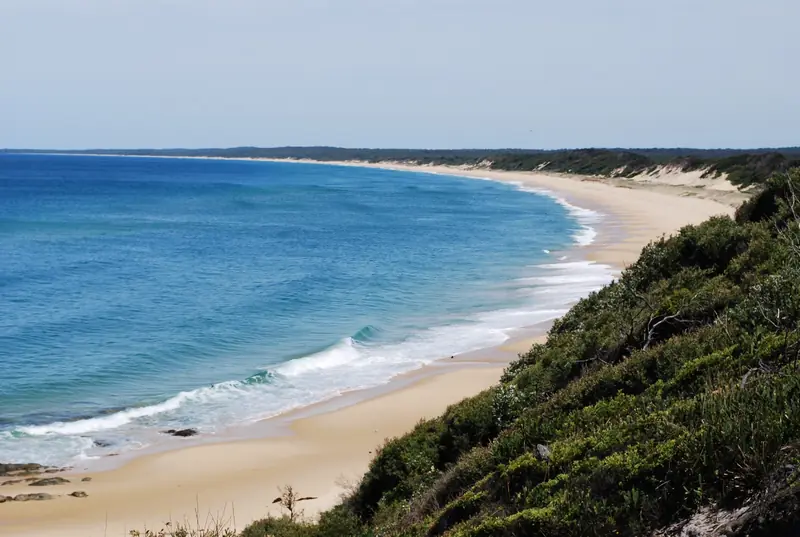 A sandy beach curving away below vegetated dunes