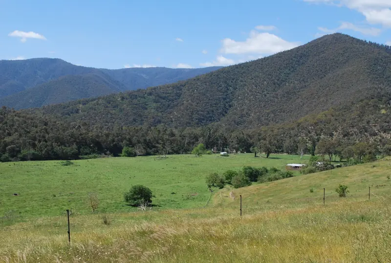 Green farmland running up to forested hills