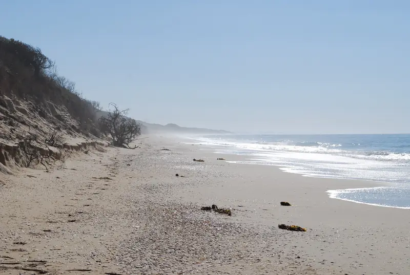 An empty beach stretching into sea mist