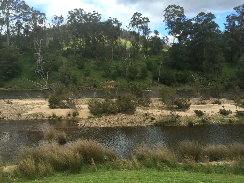A river with grassy banks and bush on both sides