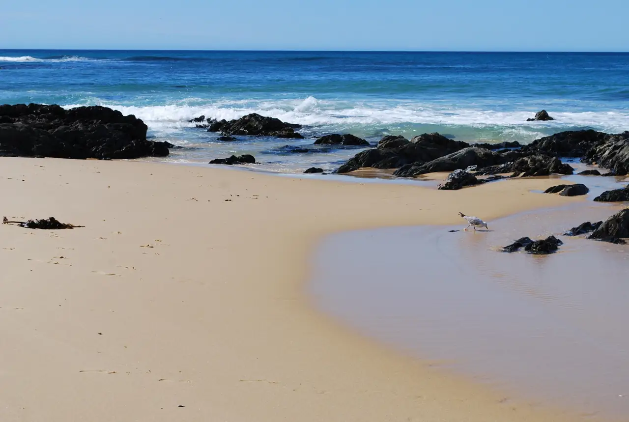 A sheltered sandy cove with dark rocks on the East Gippsland coast