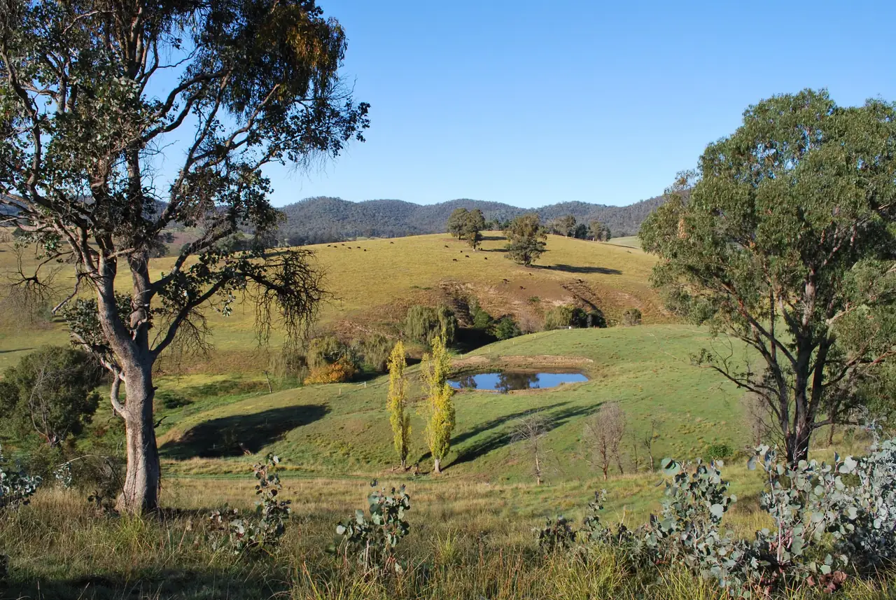 Rolling high country farmland in Snowy River country