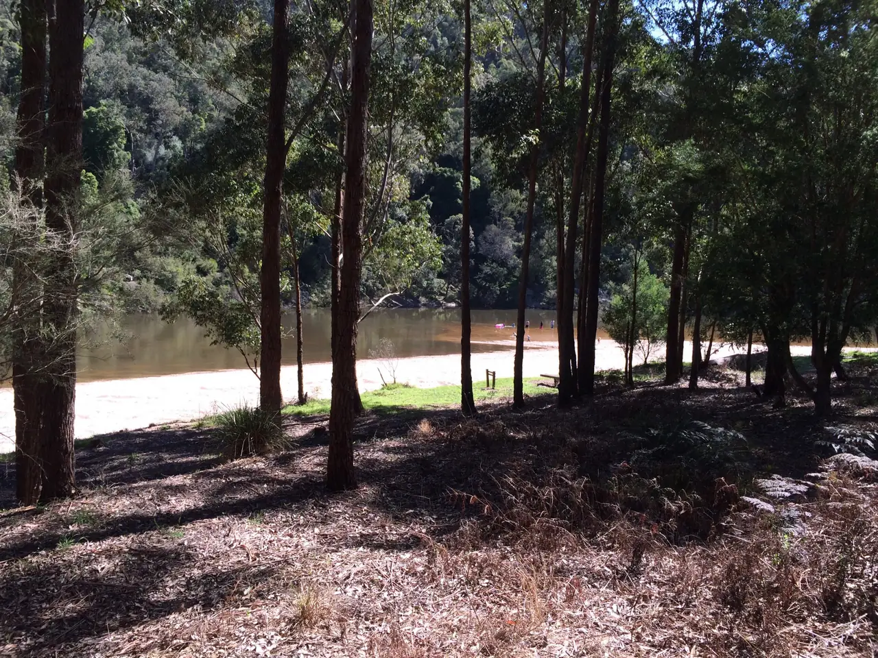Woods Point on the Snowy River just outside Orbost